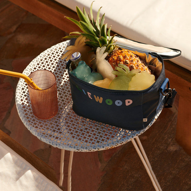 菠萝环保冰袋（3件）