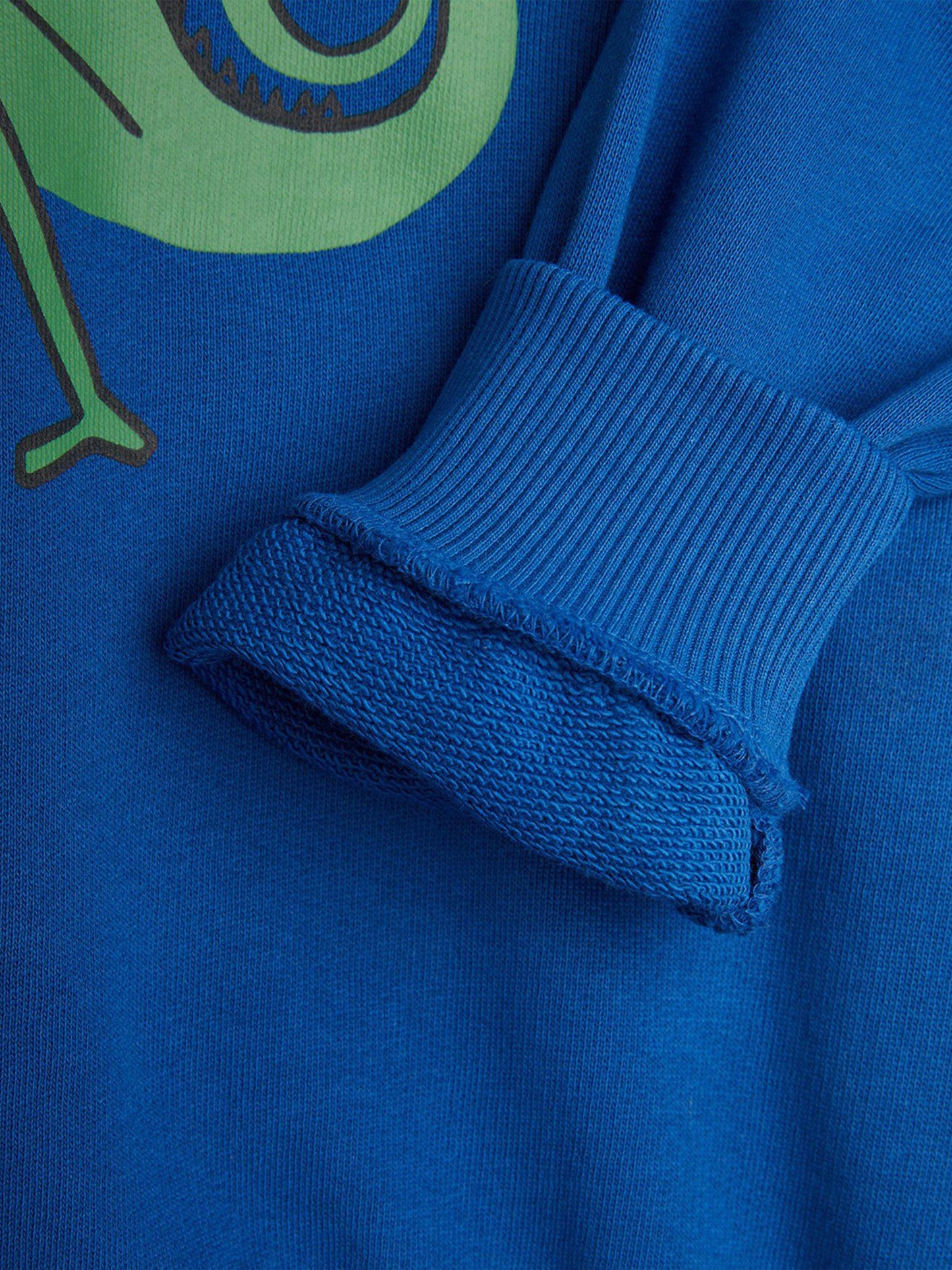 Boys Lizard Sweatshirt in Blue