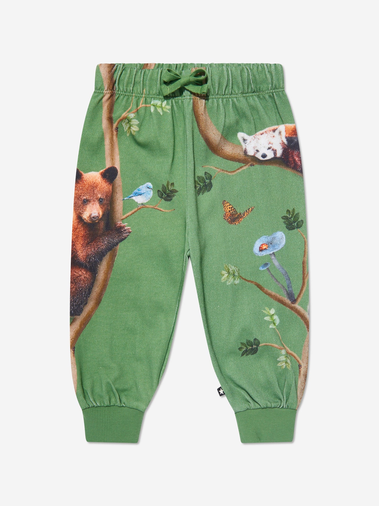 Molo Kids Animal Living 慢跑裤（绿色）