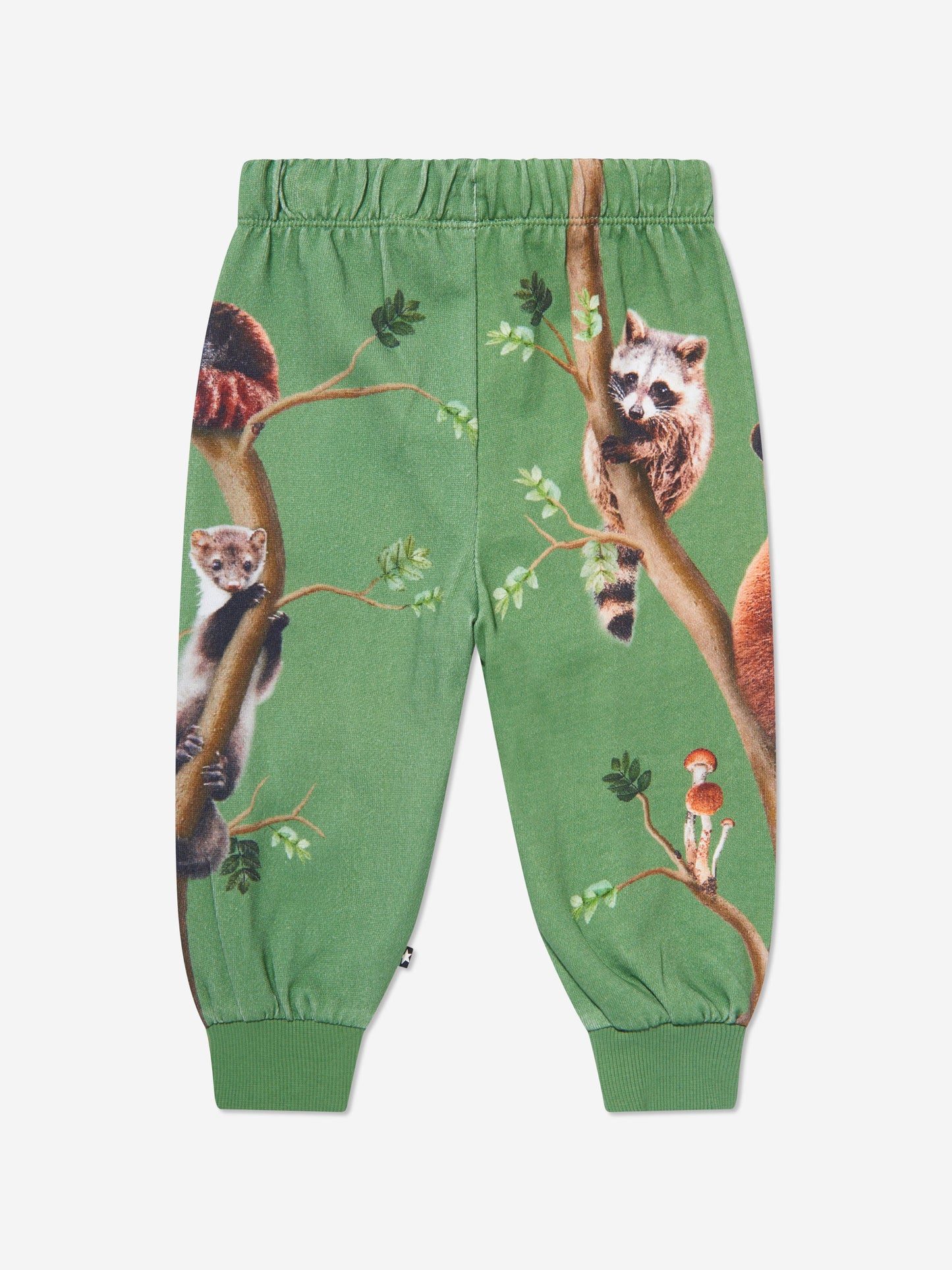 Molo Kids Animal Living 慢跑裤（绿色）