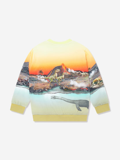 Molo Boys 火山恐龙运动衫（多色）