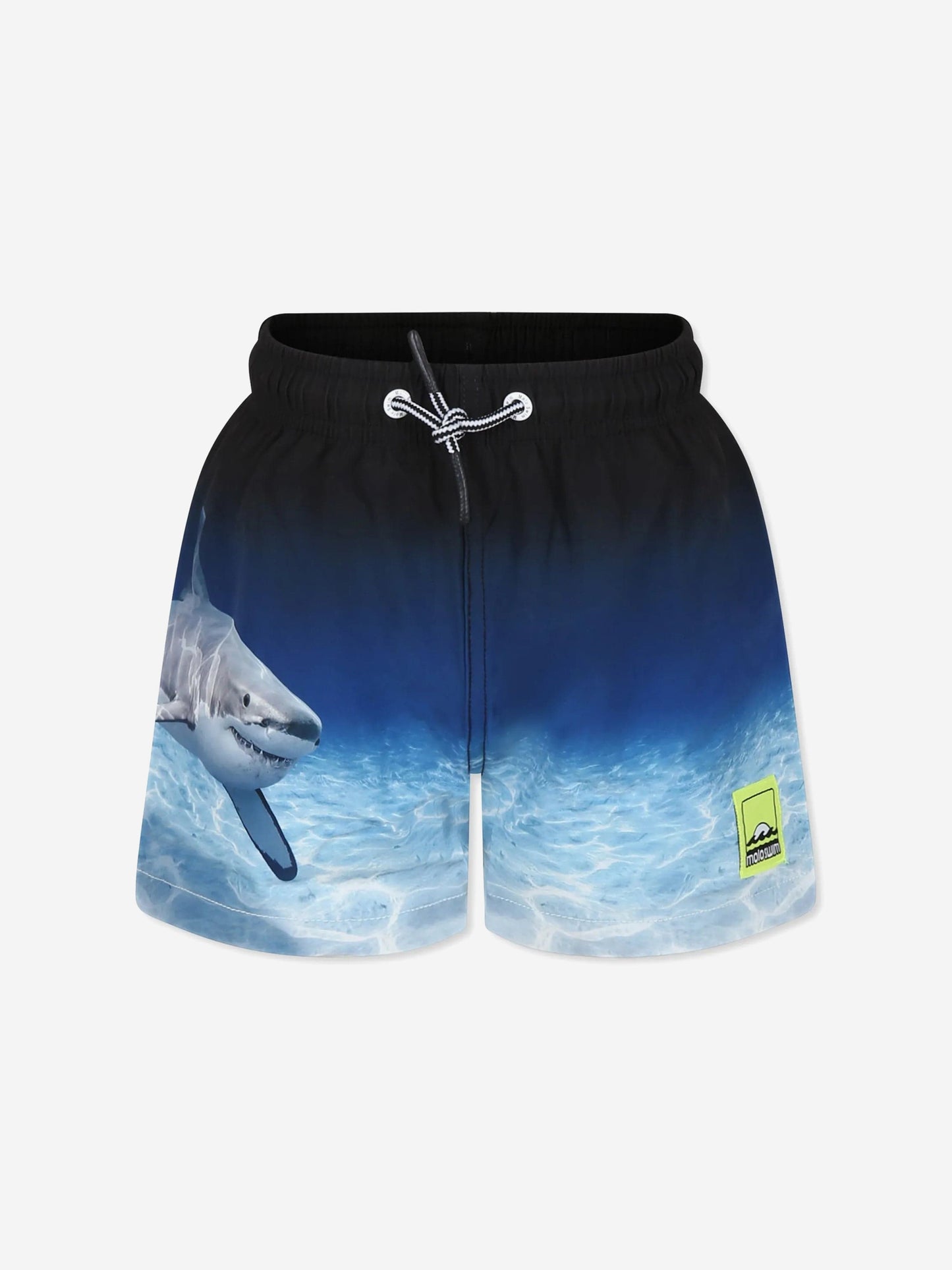 Boys Niko Faded Shark Swim Shorts in Blue (UPF50+)