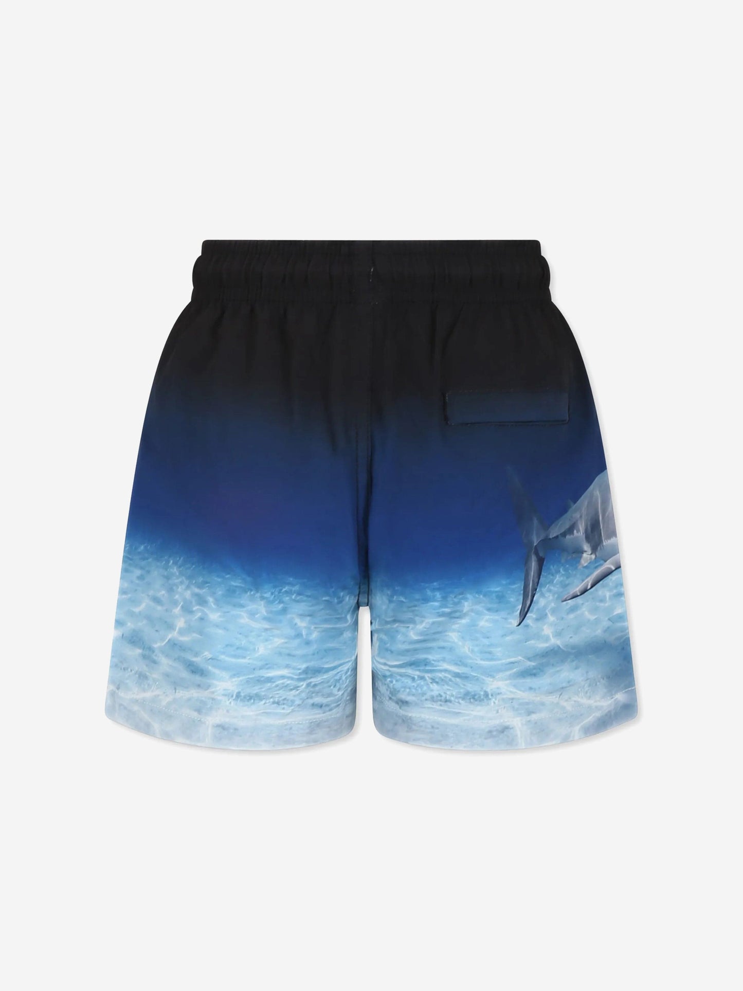 Boys Niko Faded Shark Swim Shorts in Blue (UPF50+)