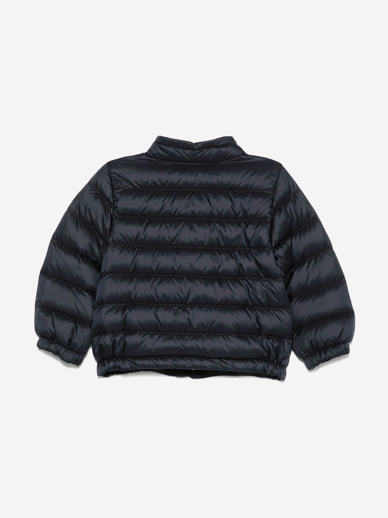 Baby Boys Down Padded Acorus Jacket in Navy