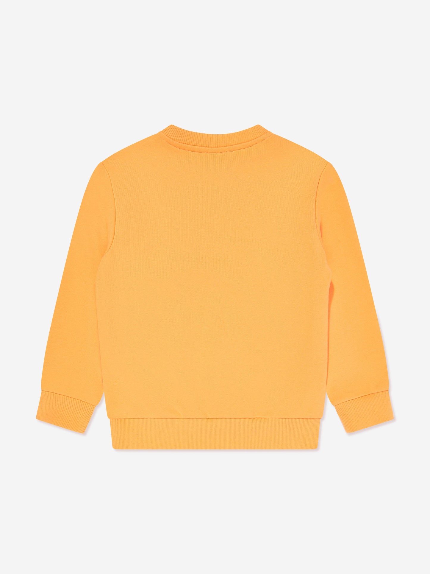 Boys Logo Sweatshirt in Orange
