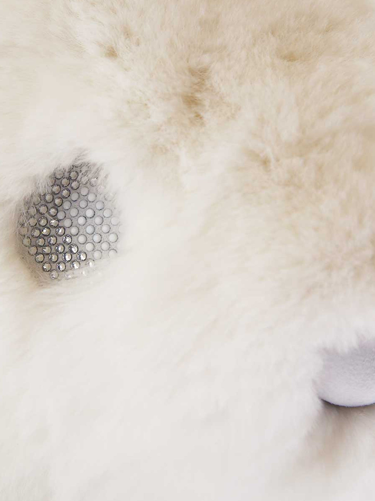 Philipp Plein 中性泰迪熊