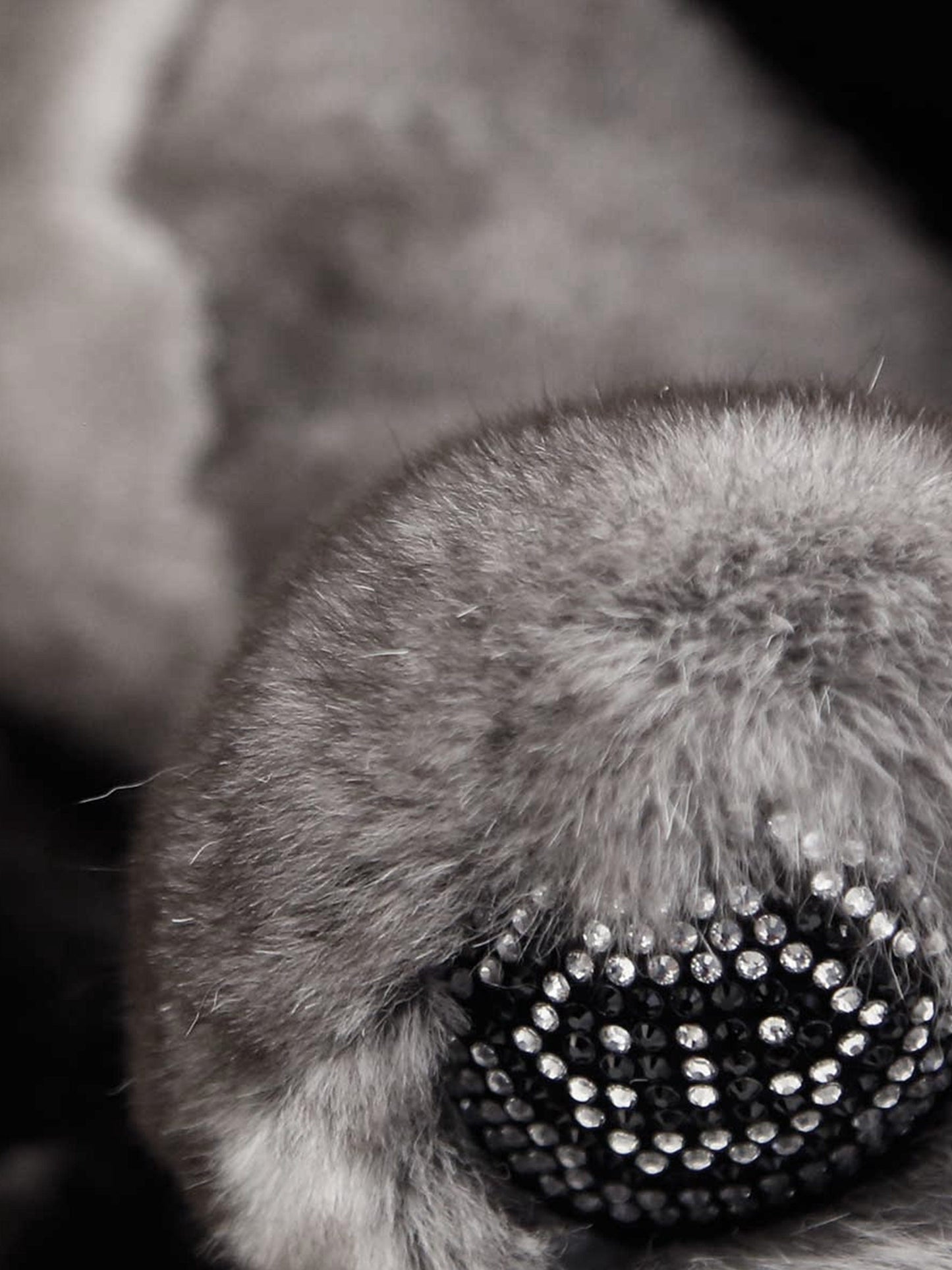 Philipp Plein 中性泰迪熊