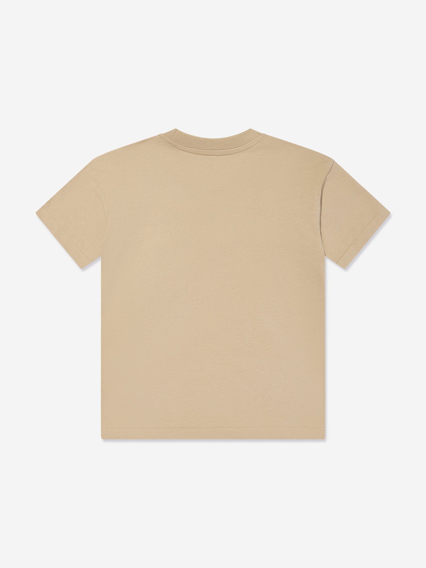 Boys Polo T-Shirt in Beige