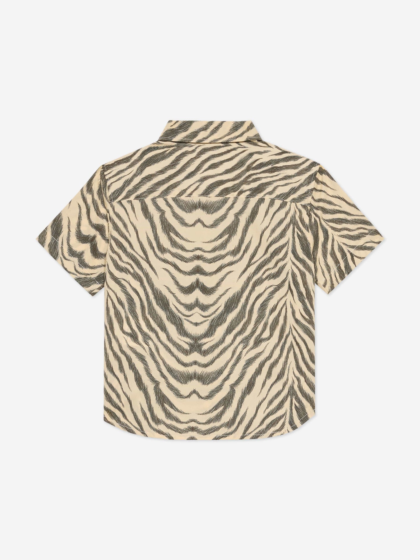 Baby Boys Zebra Print Shirt in Brown