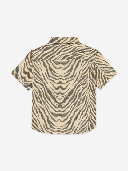 Baby Boys Zebra Print Shirt in Brown