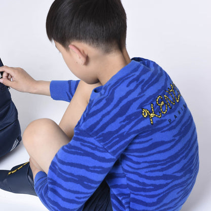 男童蓝色棉毛衣