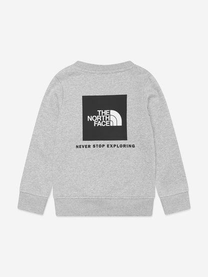 The North Face 儿童 Redbox 运动衫（灰色）