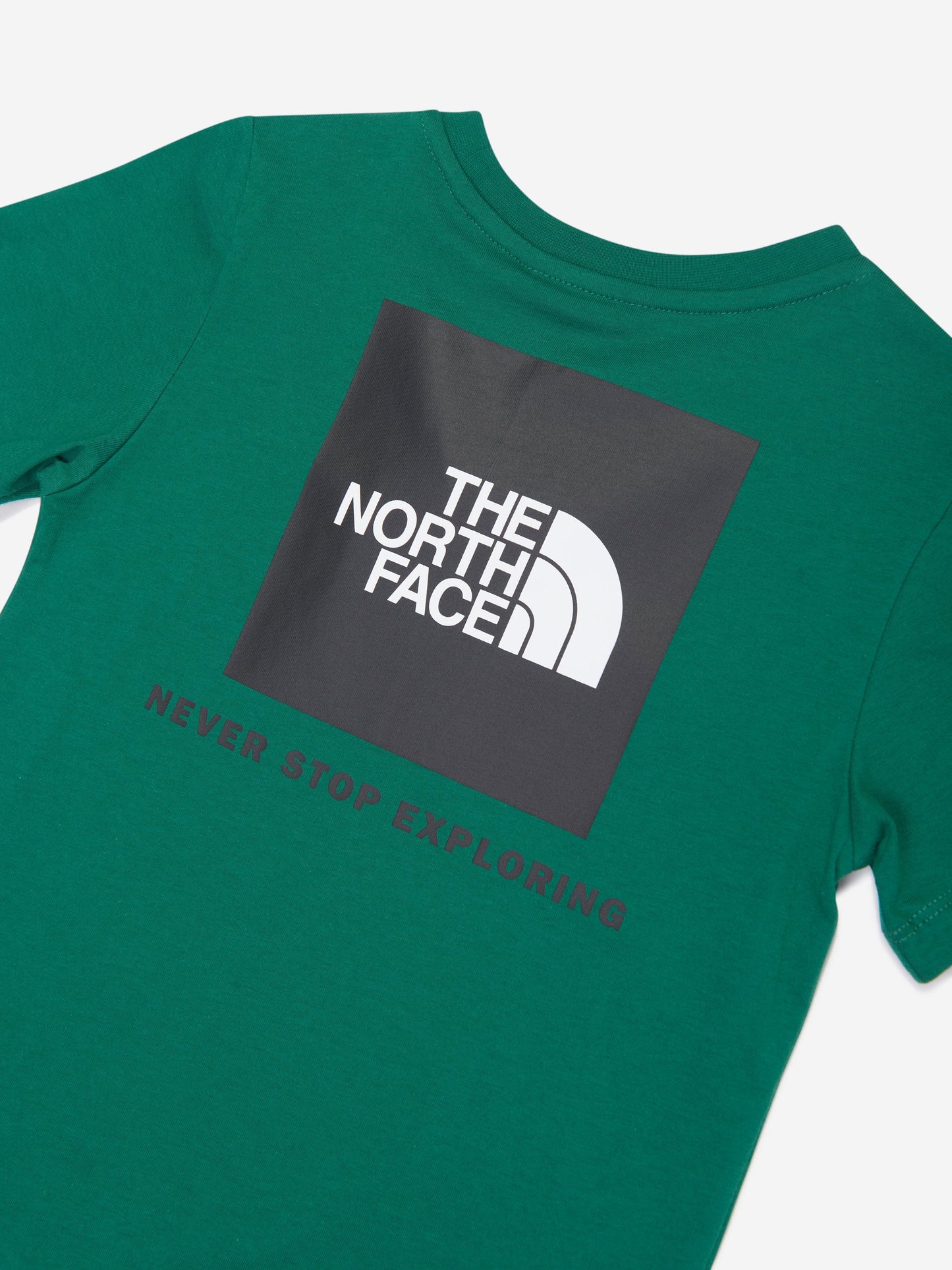 The North Face 男孩 Redbox T 恤（绿色）