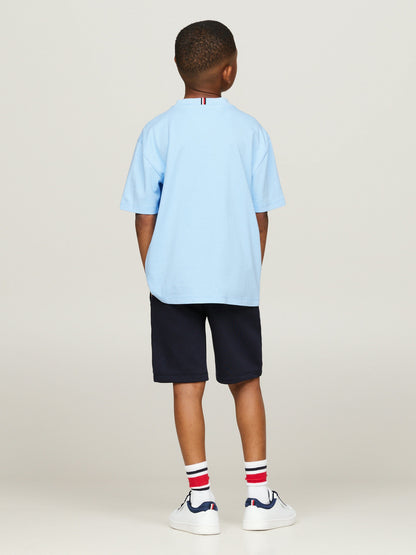Tommy Hilfiger Boys Essential T-Shirt in Blue