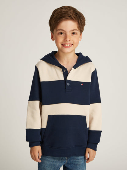 Boys Striped Regular Hoodie in Multicolour