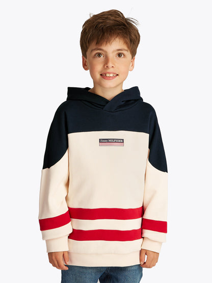 Boys Monotype Striped Hoodie in Multicolour