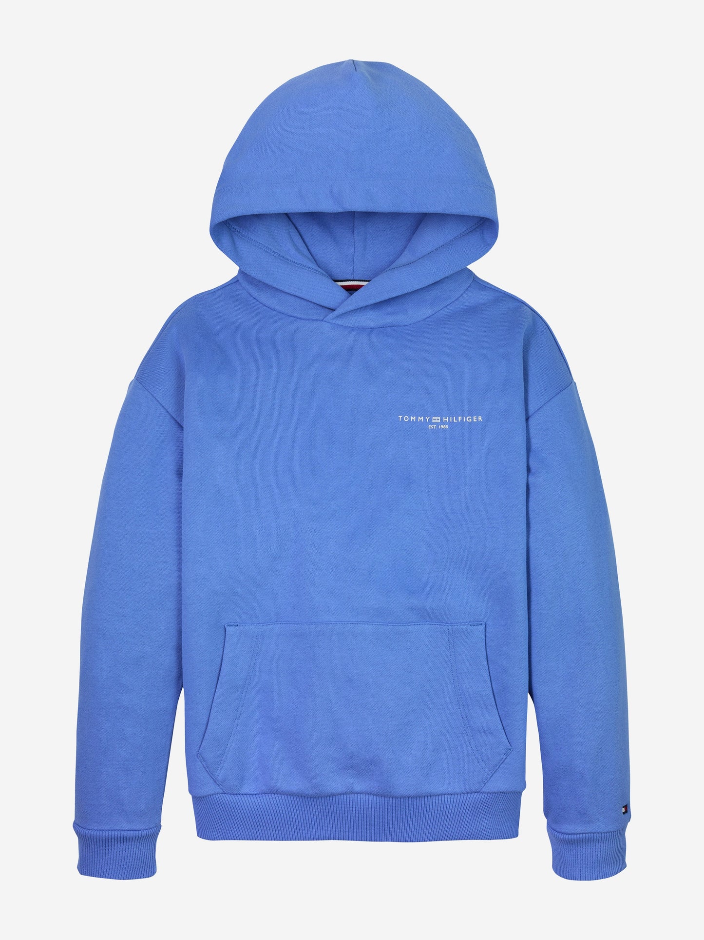 Kids Mini Corp Logo Hoodie in Blue