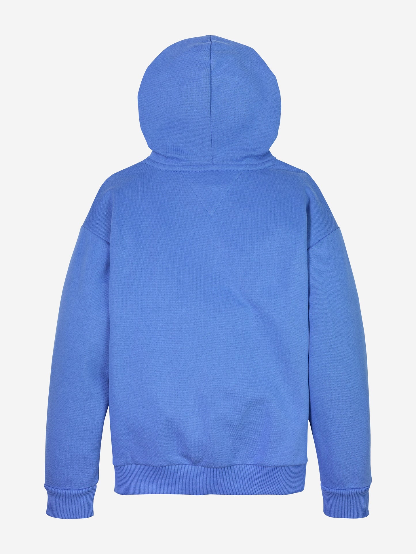 Kids Mini Corp Logo Hoodie in Blue