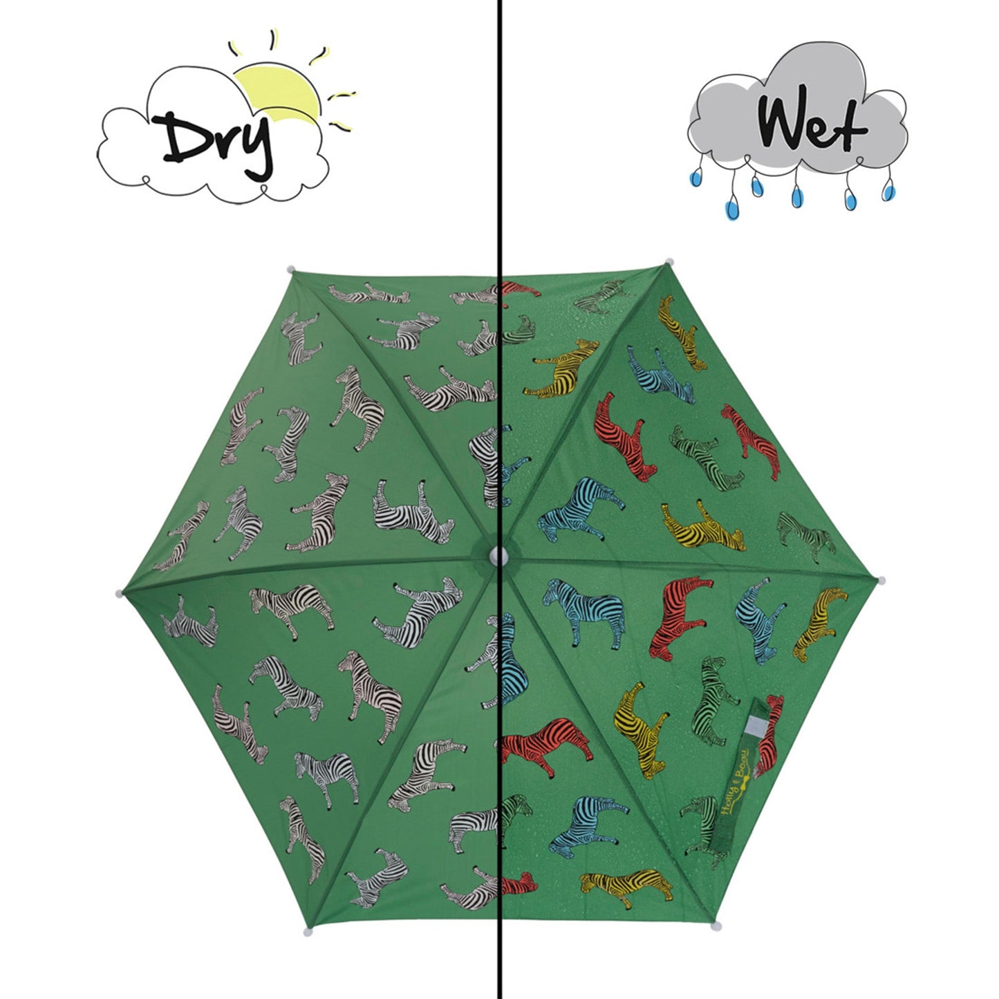Green Zebra Umbrella