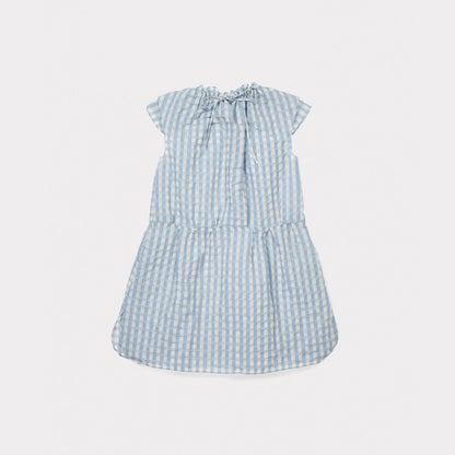 Girls Pale Blue Check Woven Dress