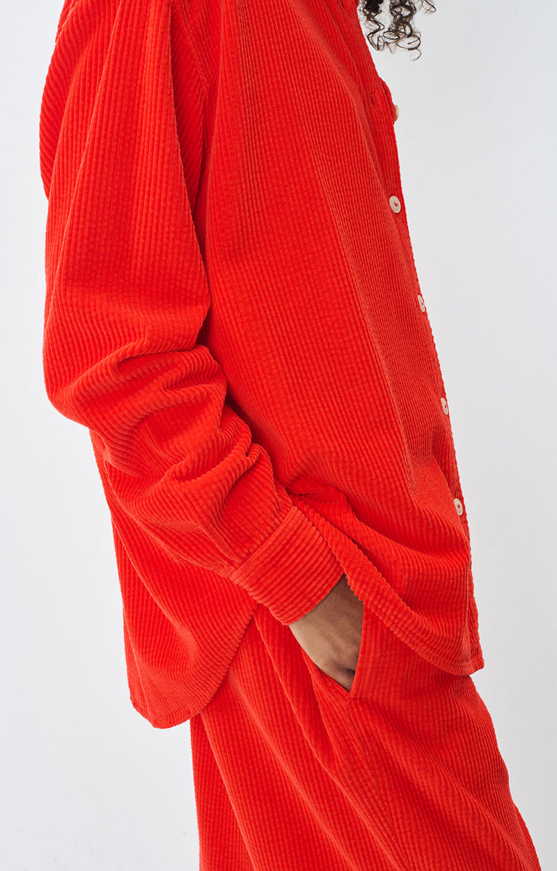 PANTALON CAROTTE