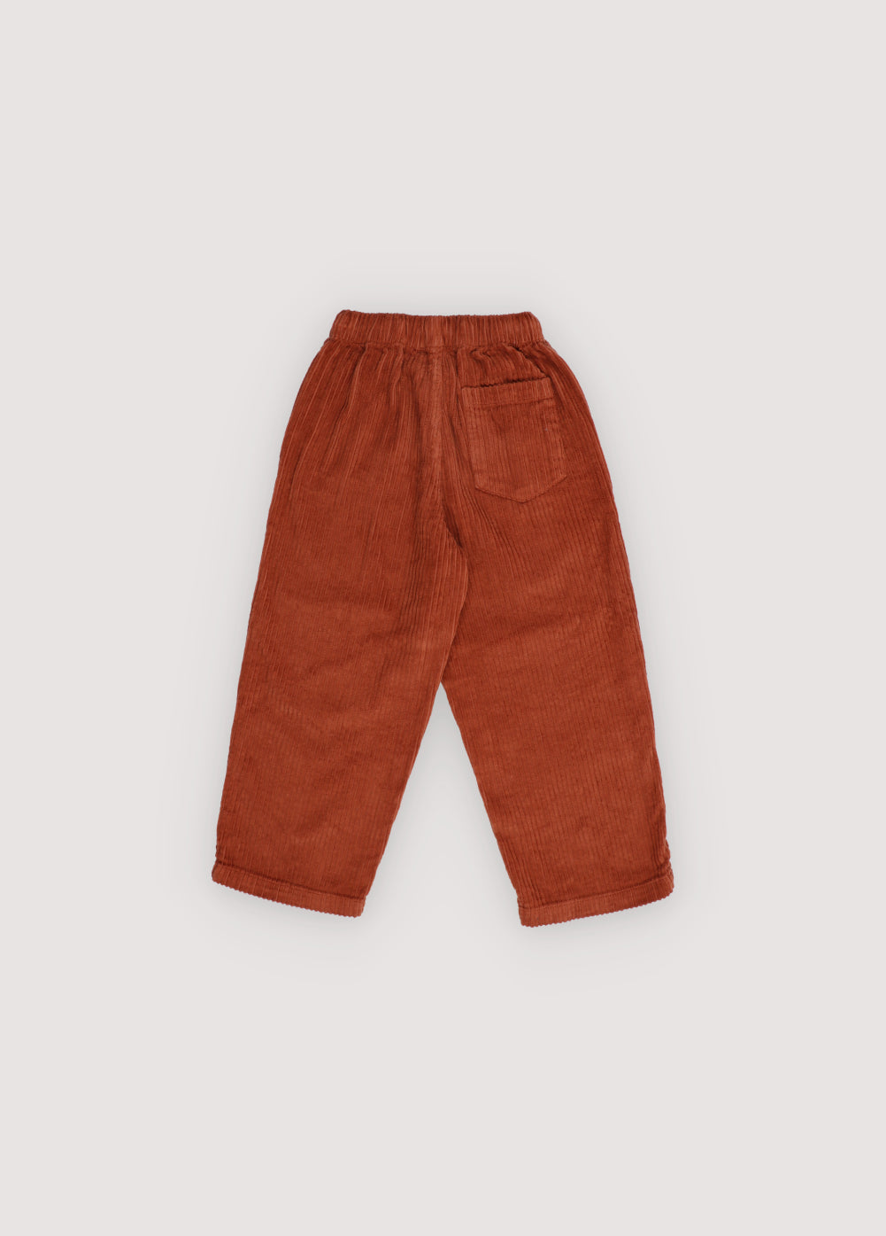Nicol Pant Astral Earth