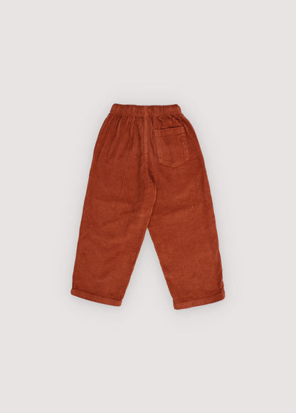 Nicol Pant Astral Earth