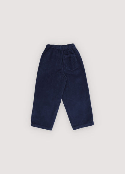 Nicol Pant Infinite Navy