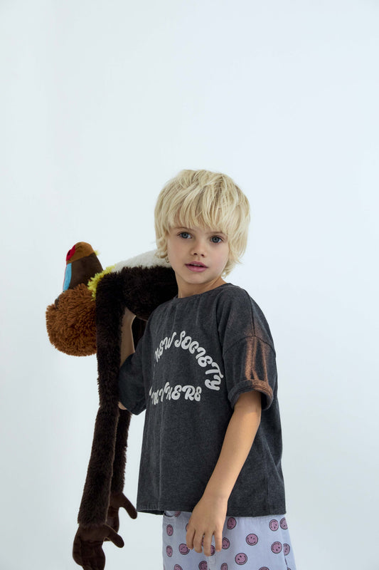 Nico T-shirt Galactic Grey Melange