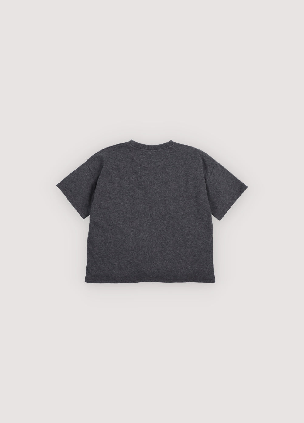 Nico T-shirt Galactic Grey Melange