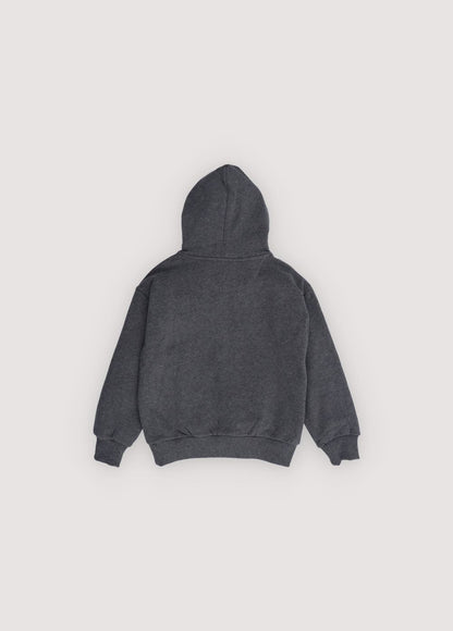 TNS Logo Hood Sweatshirt Galactic Grey Melange