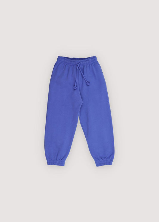 TNS Logo Jogging Royal Purple