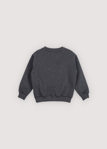 TNS Logo Sweatshirt Galactic Grey Melange