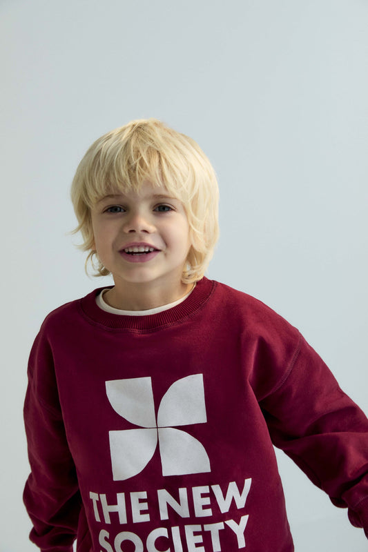 TNS Logo Sweatshirt Plum Fantasy