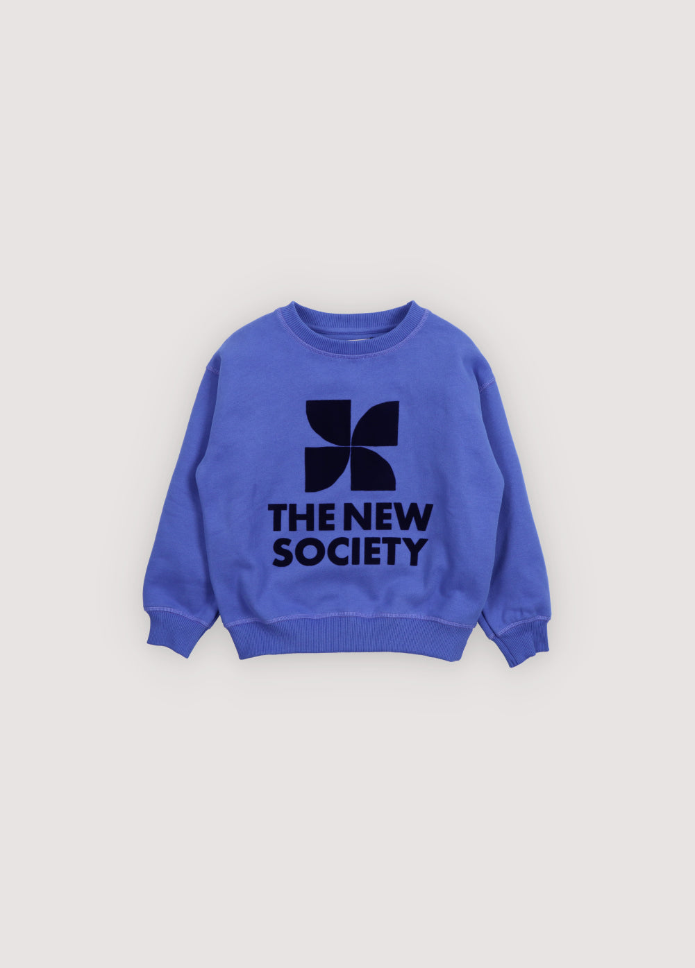 TNS Logo Sweatshirt Royal Purple