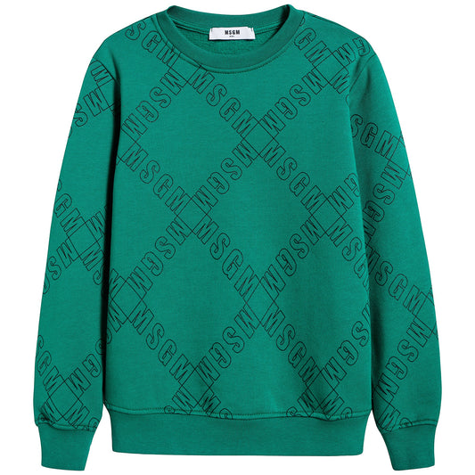 Boys Green Cotton Sweatshirt