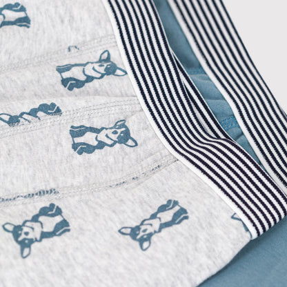 男童蓝色棉内裤套装(2件)