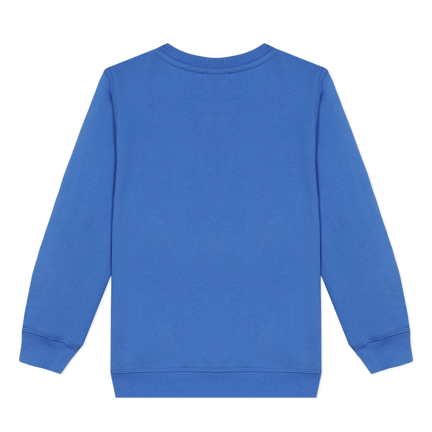 Boys Vivid Blue Cotton Sweatshirt