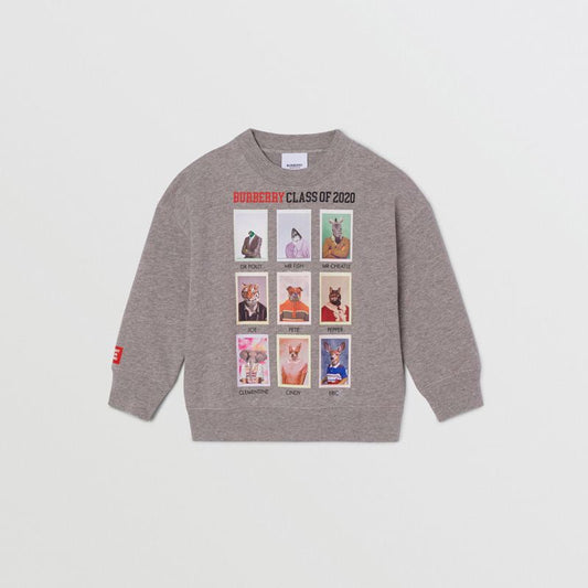 Boys Grey Melange Cotton Sweatshirt
