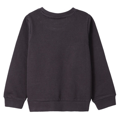 Boys&Girls Dark Grey Bengal Tiger Printed Sweatshirt