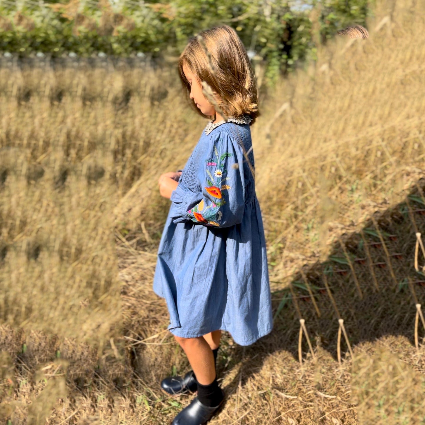 女童蓝色刺绣连衣裙