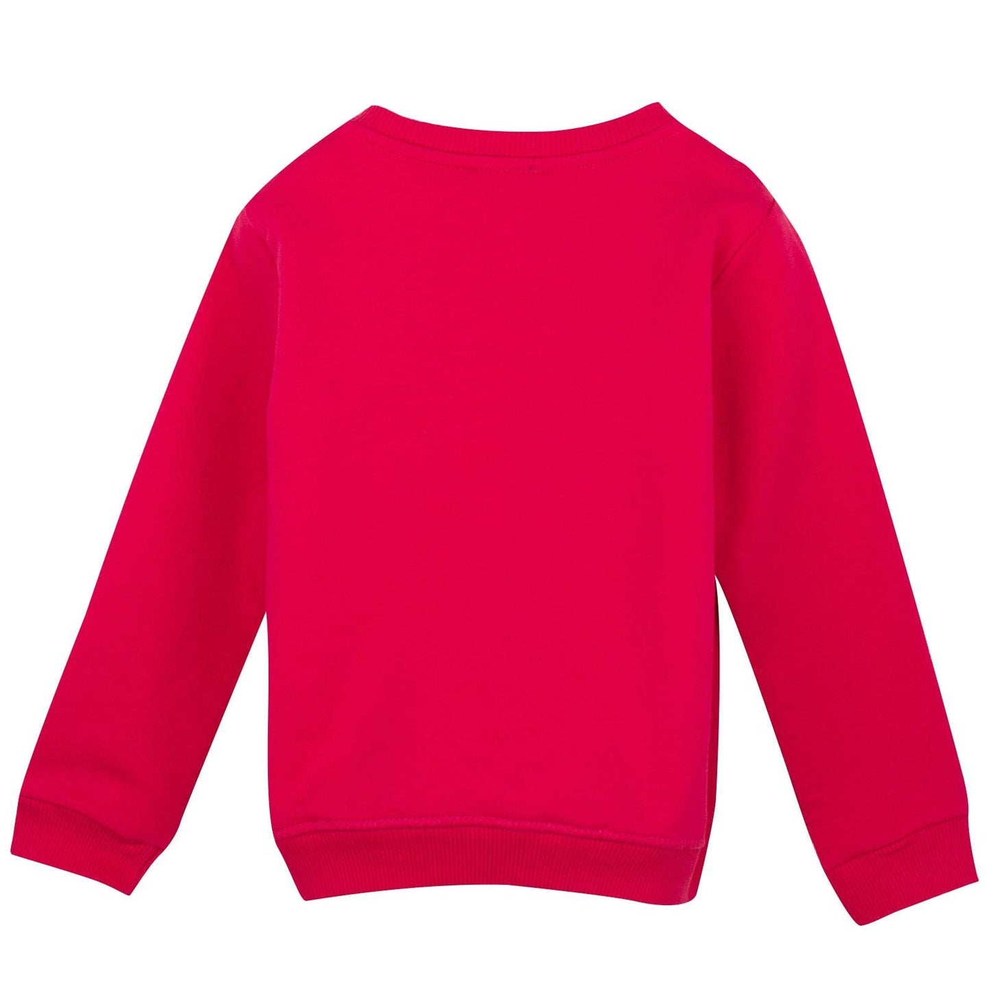 Boys Red Tiger Embroidered Sweatshirt