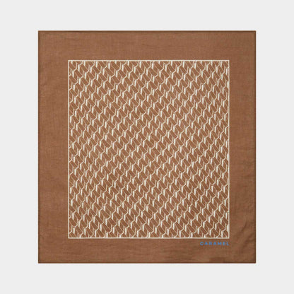 女童棕色棉围巾