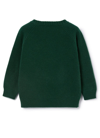Boys Billiard Green Virgin Wool Sweater