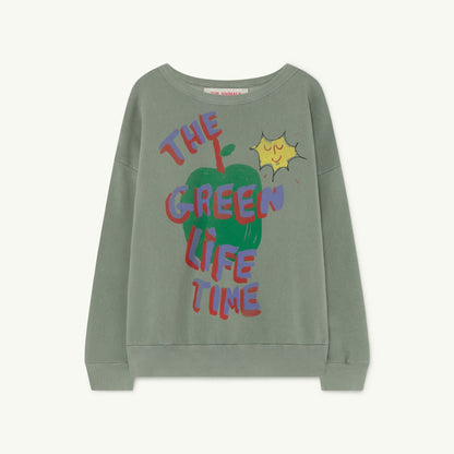 儿童绿色苹果印花棉卫衣