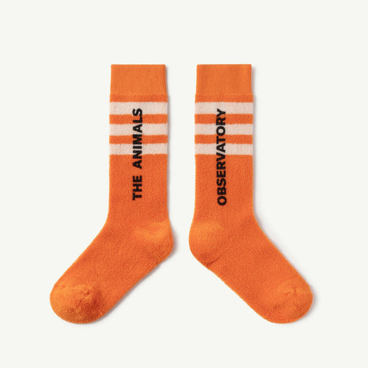 儿童橙色Logo棉袜