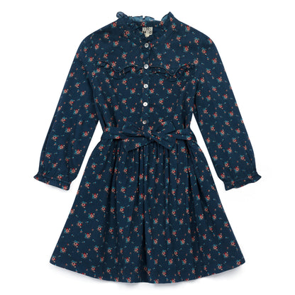 Girls Blue Floral Cotton Dress