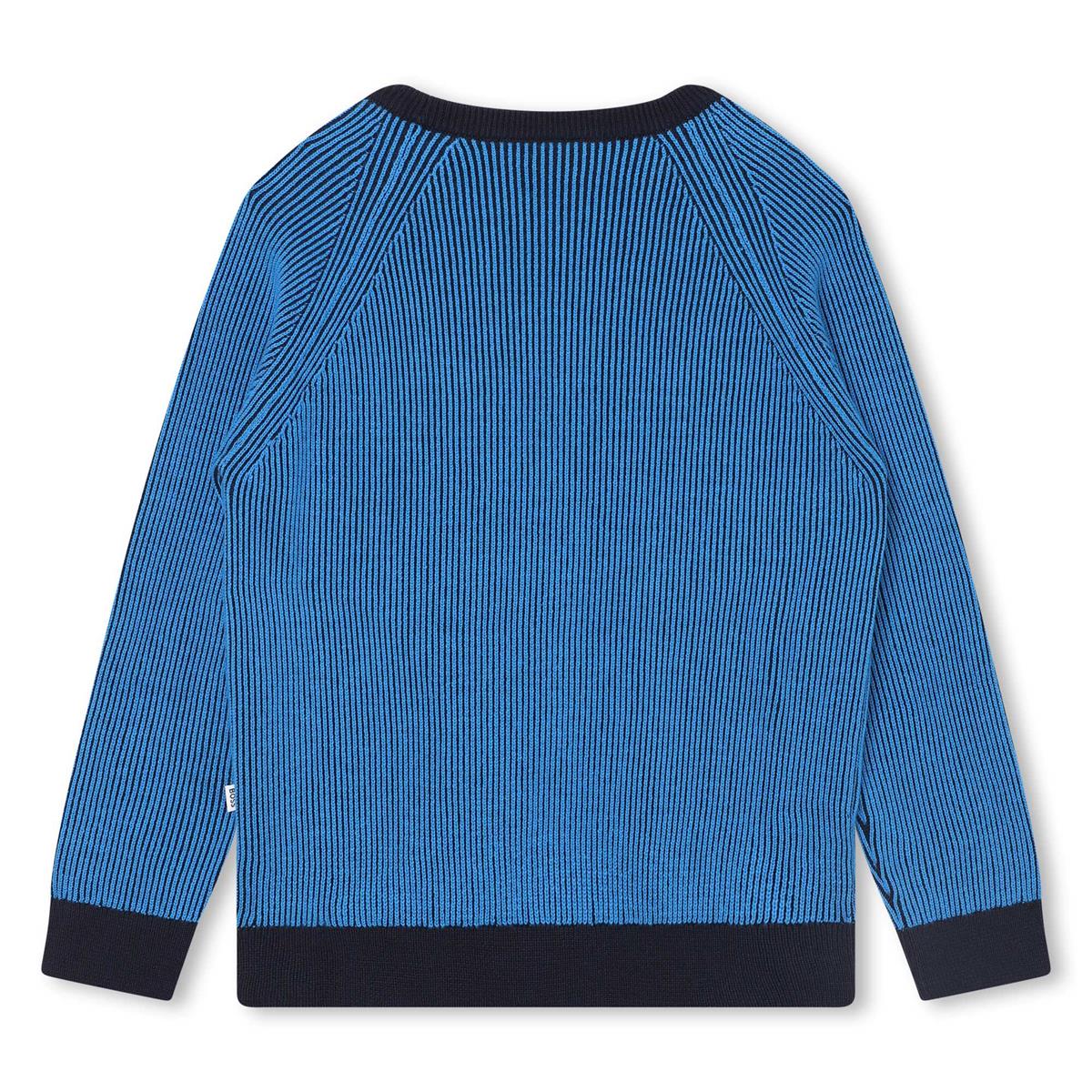 男童蓝色棉毛衣