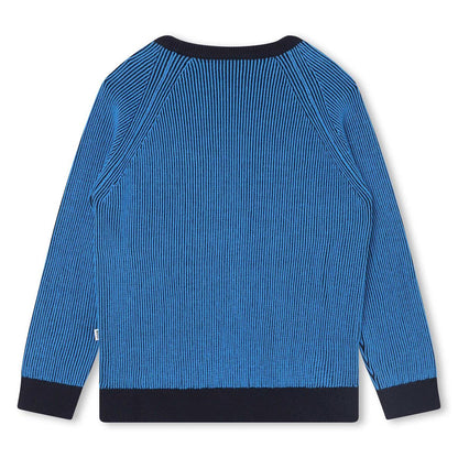 男童蓝色棉毛衣