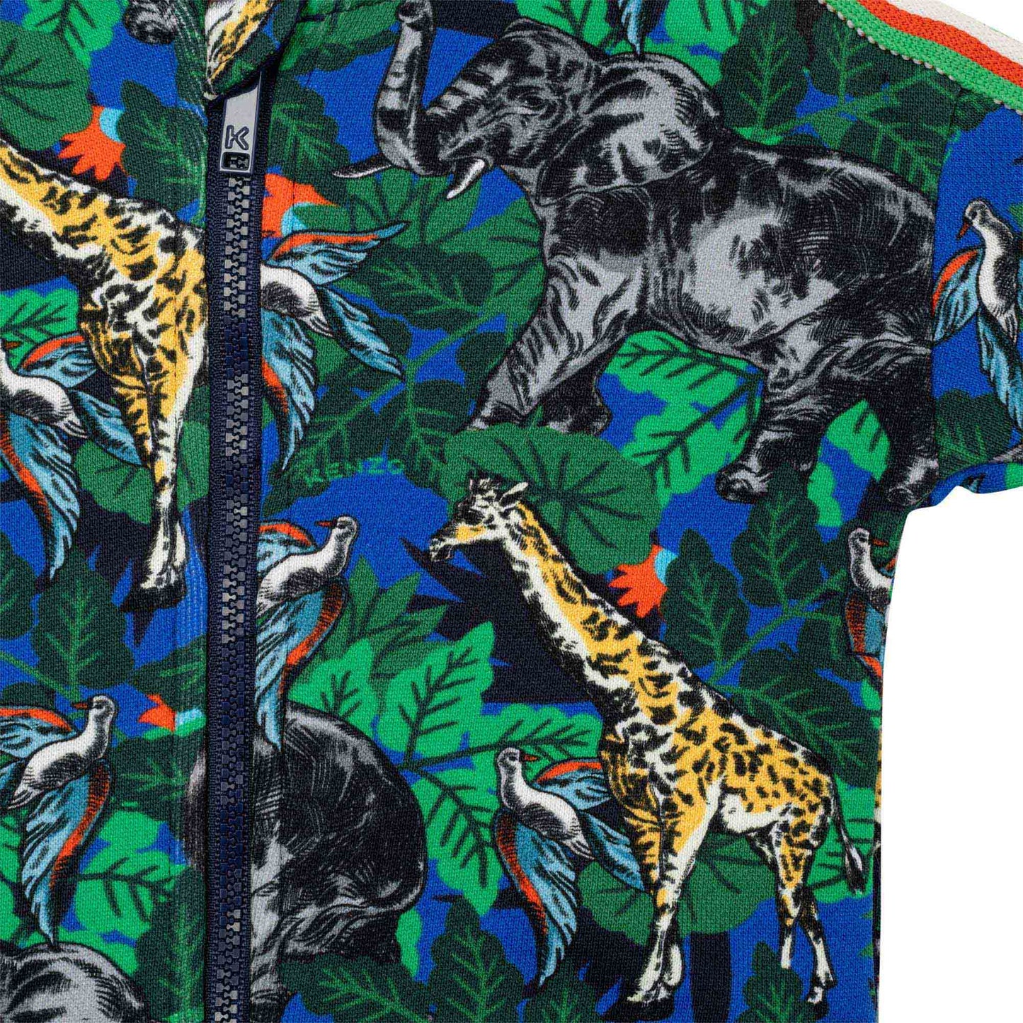 男婴绿色连帽拉链上衣